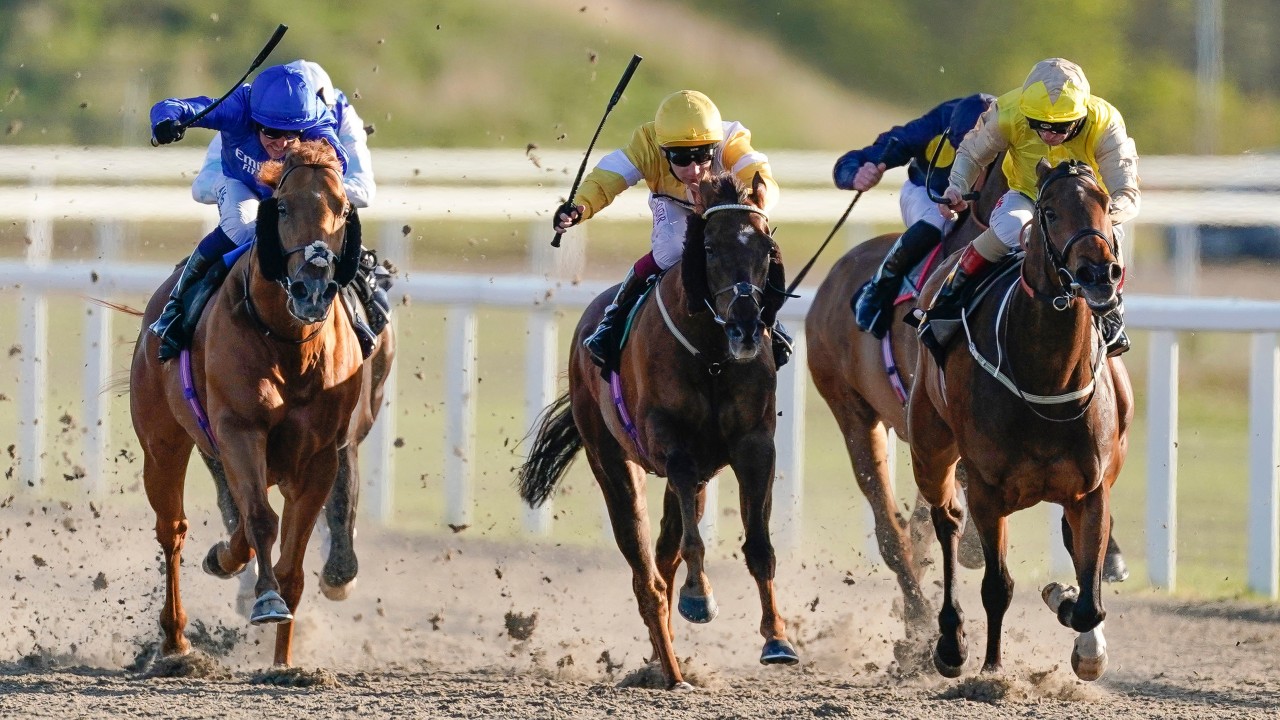 Find Out Which Two Things Can Prove The Key To Success In Chelmsford Sprints Horse Racing News Racing Post