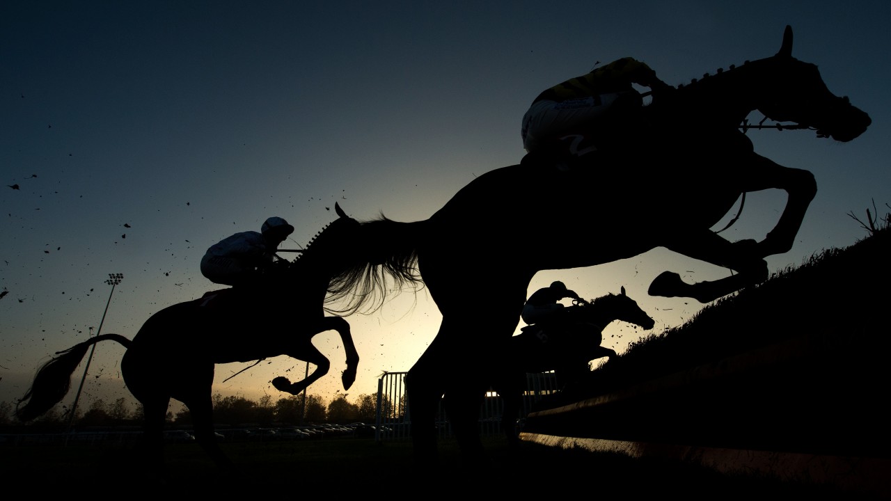 I M Surprised Anyone Would Allow Their Horse To Be Slaughtered In An Abattoir Horse Racing News Racing Post