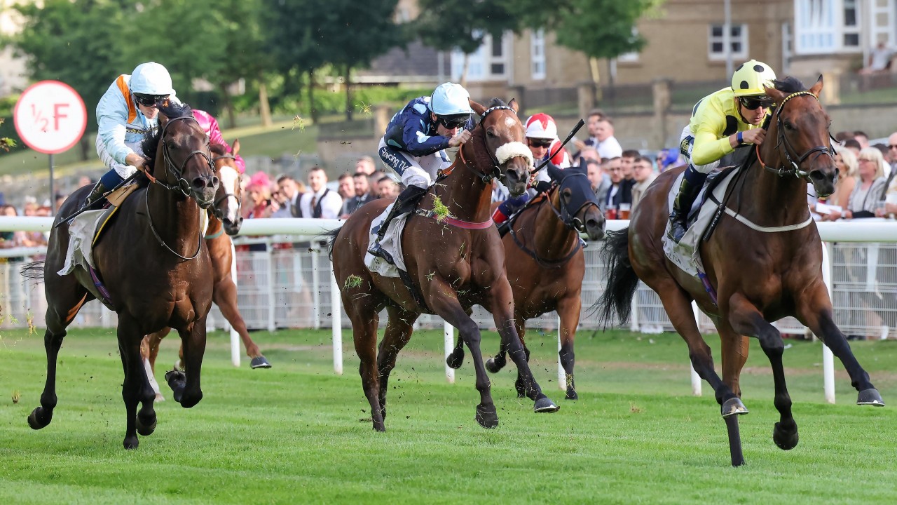 Group 3 Winner Dubai Station Bids To Fend Off Veterans Tarboosh And Danzeno Horse Racing News Racing Post