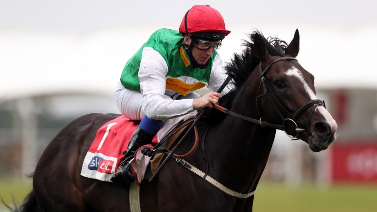 Dwyer is aiming to return in time for potential international targets with Pyledriver