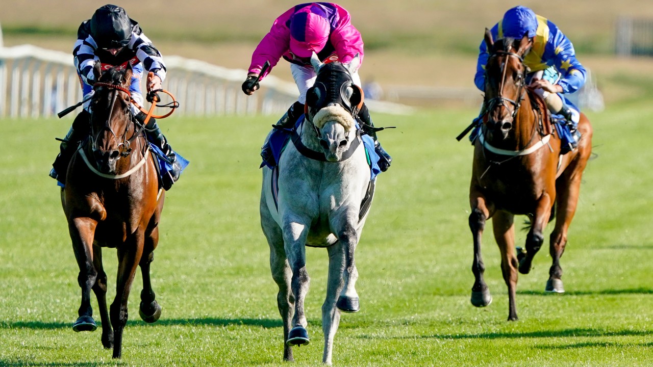 He S Well Capable Of Winning Who Will Triumph In The Battle Of The Greys Horse Racing News Racing Post