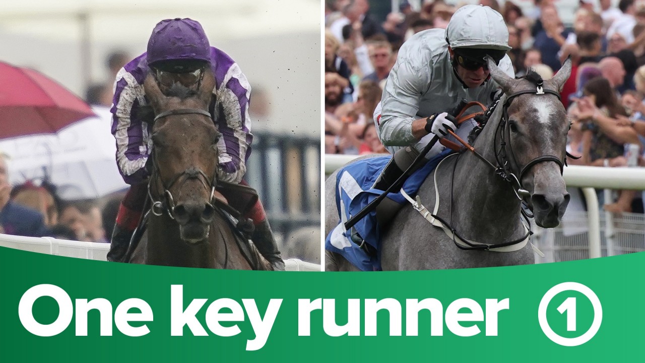Itv Racing Tips One Key Runner From Each Race On Itv On Day Two Of York Horse Racing News Racing Post