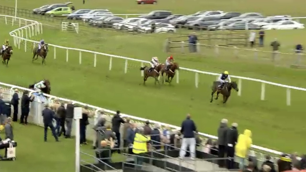 He Took Us By Surprise Jonjo O Neill Trained Bumper Runner Veers Off Course Horse Racing News Racing Post