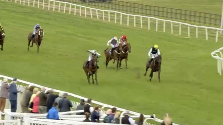 Carys' Commodity (left) starts to veer right towards the stands' side rail as he battles it out with Leroy Brown (right)