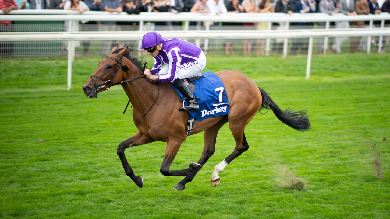 Expert Jury Colts Will Ask More Of Snowfall In The Arc She Doesn T Appeal Horse Racing News Racing Post