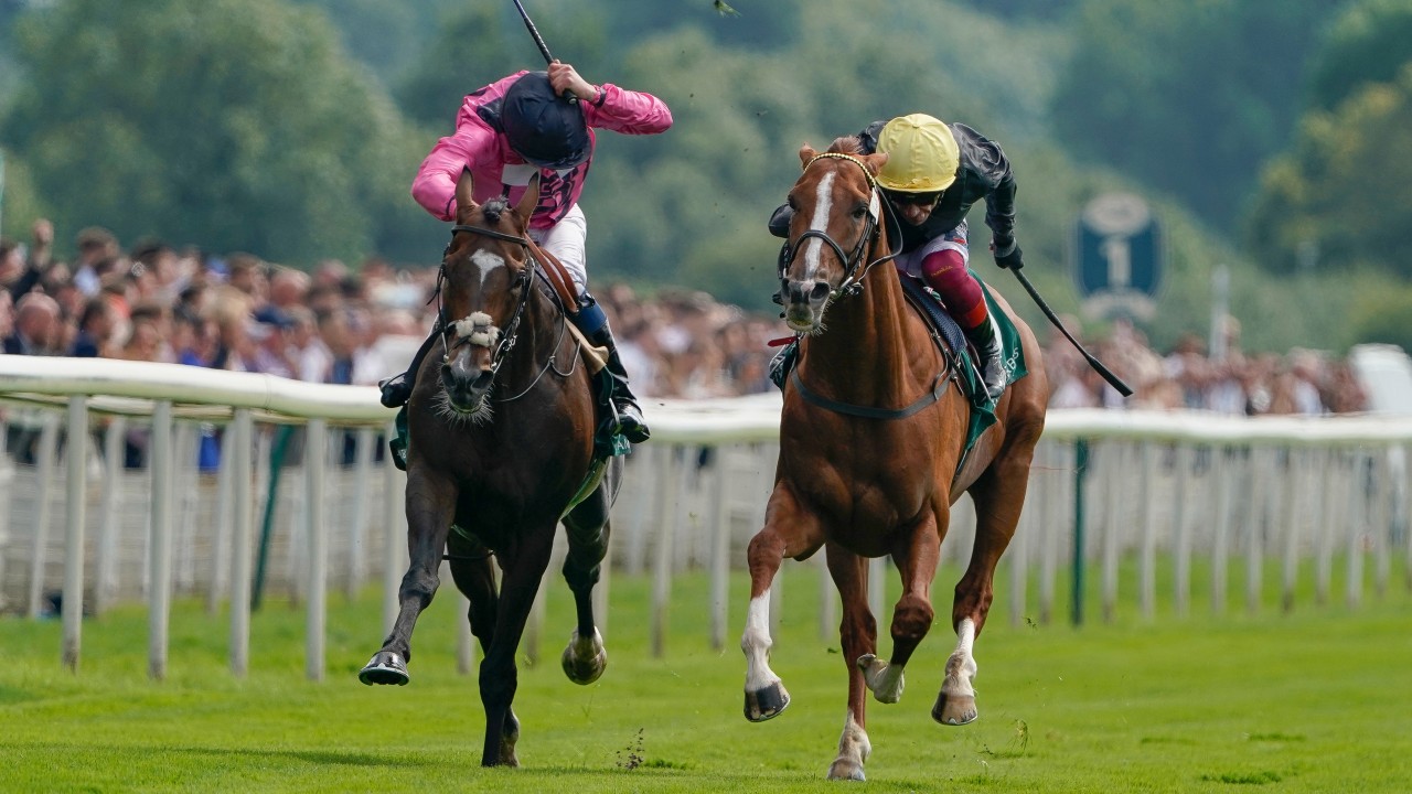 Boom I Won York Explodes As Stradivarius And Dettori Land Epic Cup Victory Horse Racing News Racing Post
