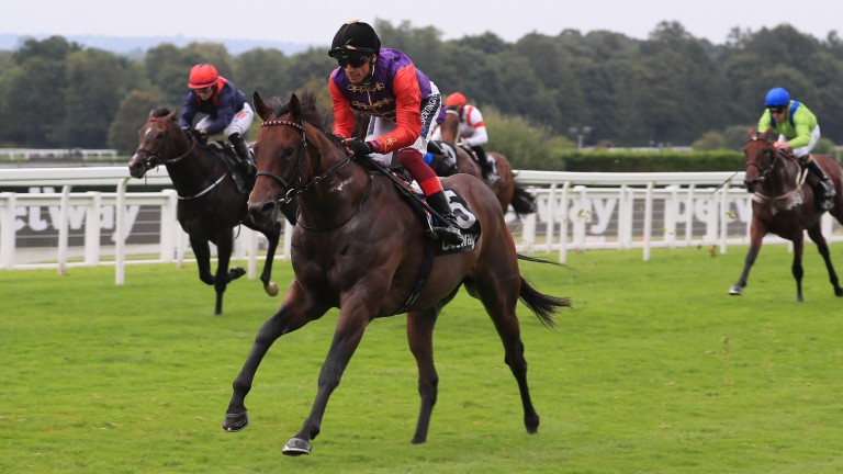 Solario Stakes winner Reach For The Moon steps up to Group 2 company in the Champagne Stakes