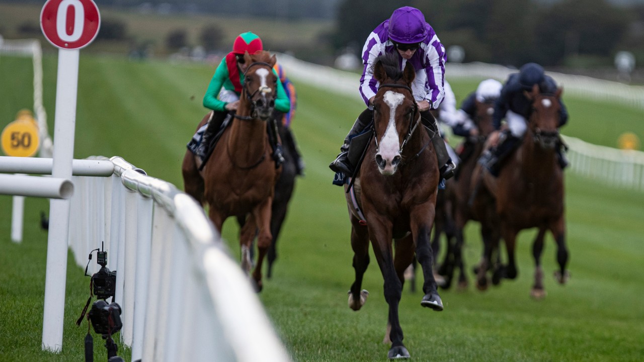 Straightforward Point Lonsdale Out To Extend Perfect Record In National Stakes Horse Racing News Racing Post