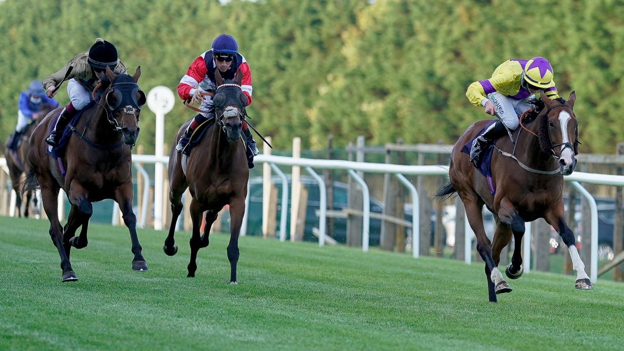 Find Out Trainer John Gallagher S View As Junoesque Chases A Seventh Course Win Horse Racing News Racing Post