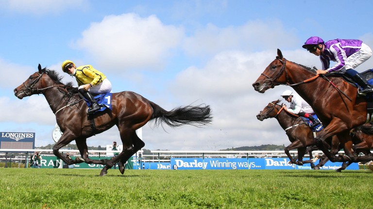 Perfect Power: could aim to cap a brilliant season in the Middle Park Stakes
