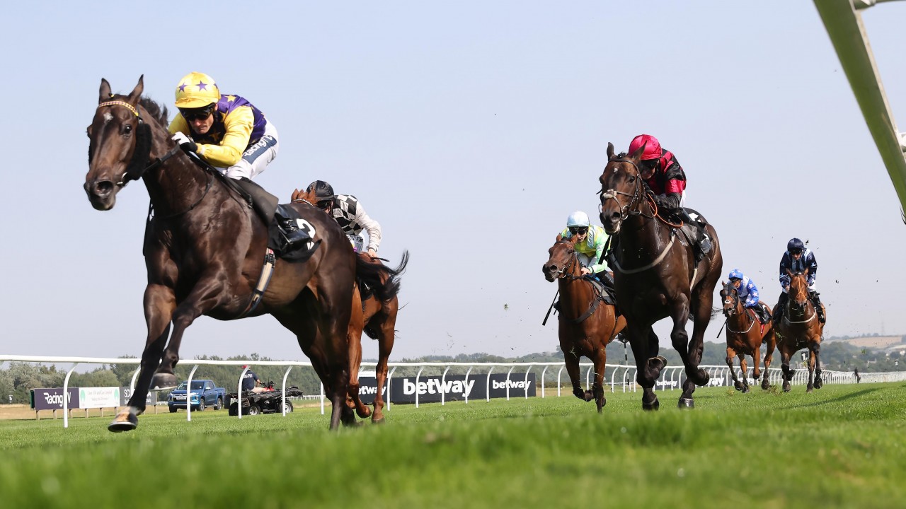 He S Done So Well For Us Comet Comes Good Again For Trainer Breeder Goldie Horse Racing News Racing Post