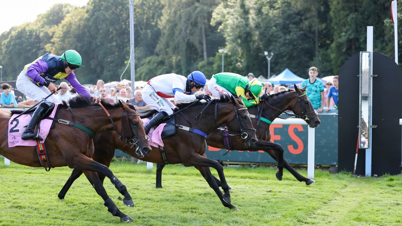 Everyone S Singing And Dancing Around The Town Sayer Relishes Course Return Horse Racing News Racing Post