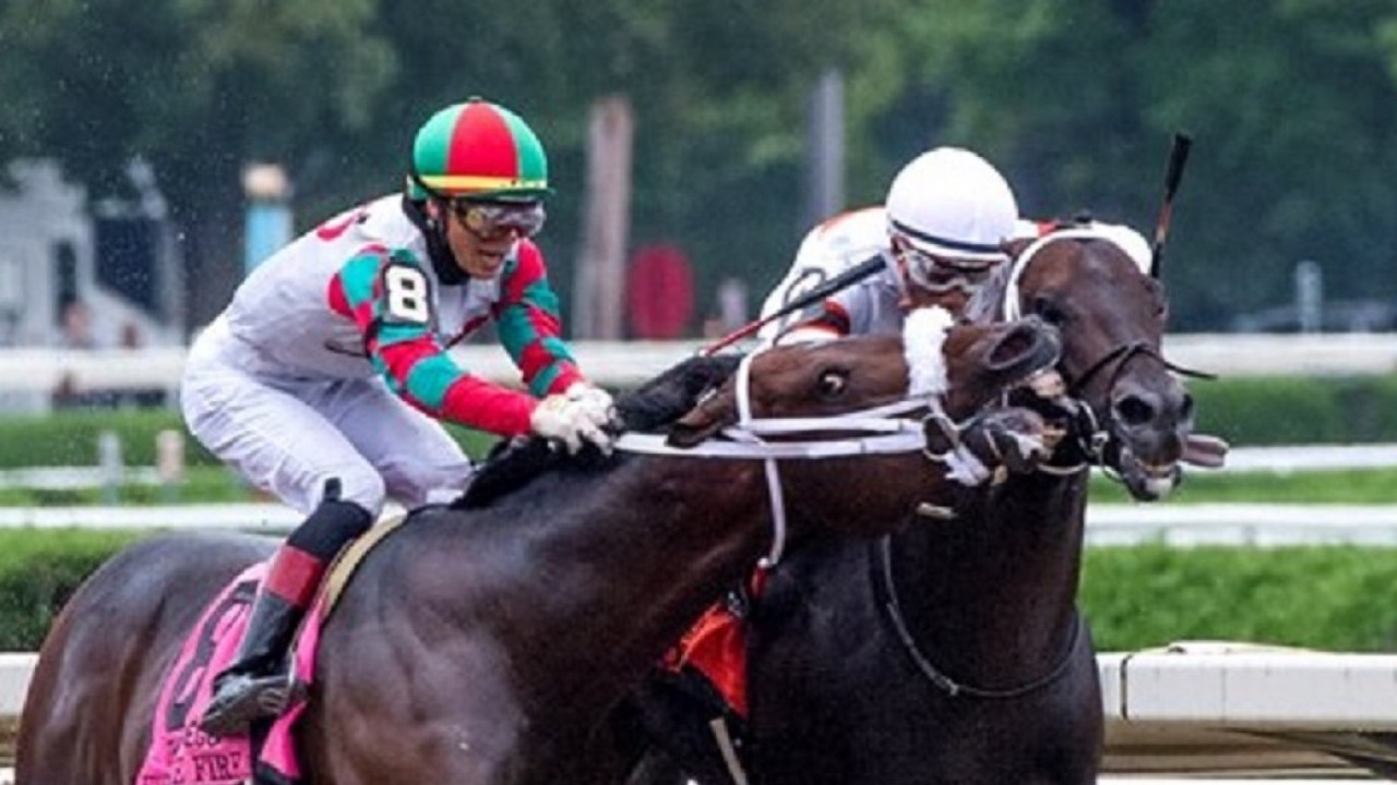 Watch horse tries to bite rival in dramatic finish to Saratoga Grade 1 Horse Racing News