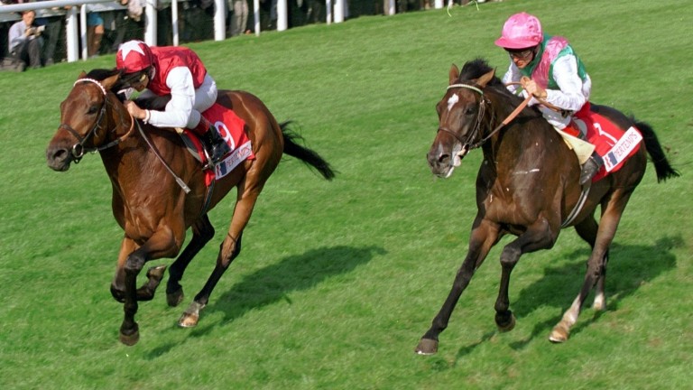 Shantou y Frankie Dettori (izquierda) golpearon a Duchianator y Pat Edery por el cuello en Doncaster