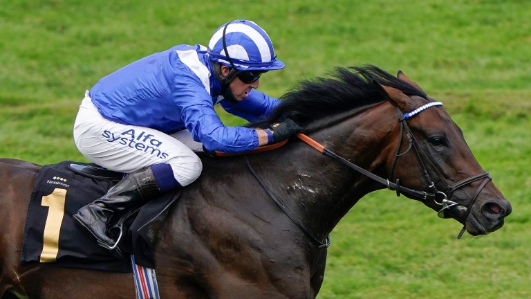 Five Stars : Brilliant Ba’id perce dans le premier set du Moulin Prix |  l’actualité des courses hippiques