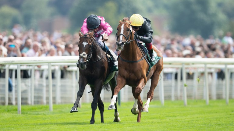 Spanish Mission (left) duels with Stradivarius in the Lonsdale Cup at York