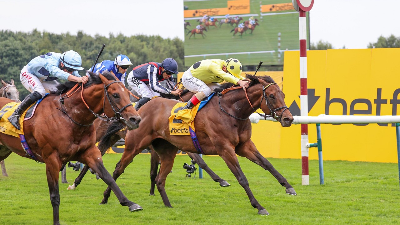 As Good A Horse As I Ve Trained Emaraaty Ana Wins Group 1 For Ryan Horse Racing News Racing Post