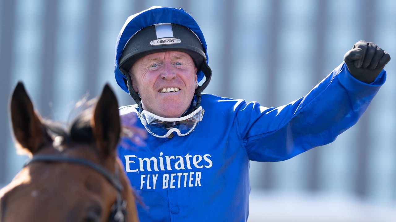 Betting racing post horses results gym gascoyne place menu for diabetics