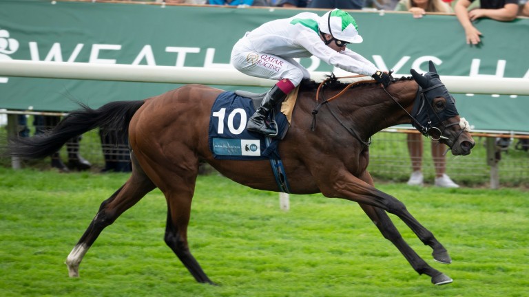 Hoo Ya Mal: one of just four runners in the Newmarket Stakes on Friday