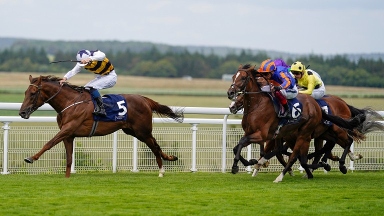 Ottoman Emperor streaks clear of his rivals in the Gordon Stakes at Godowood
