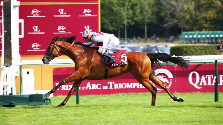 Teona: entered in two races at the Breeders' Cup
