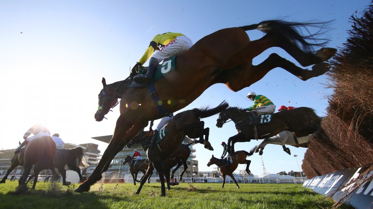 Large crowds will return to Cheltenham for the first time since March last year on Friday