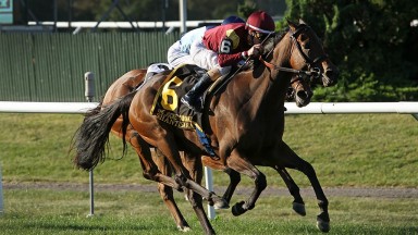 Shantisara: winner of the Jockey Club Oaks Invitational at Belmont and a graduate of the Tattersalls Guineas Breeze-Up Sale