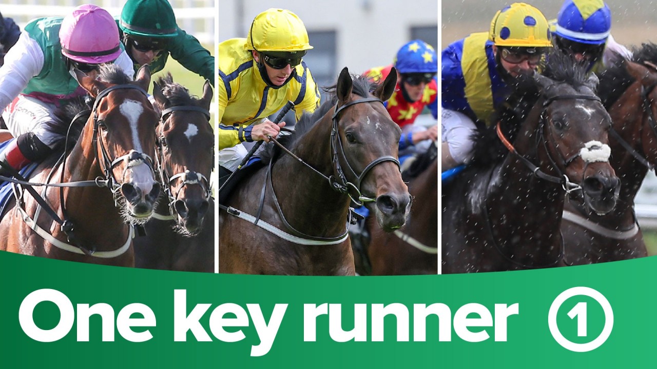 itv racing tips one key runner from each of the six races on itv4 on saturday horse racing news racing post itv racing tips one key runner from each of the six races on itv4 on saturday horse racing news racing post