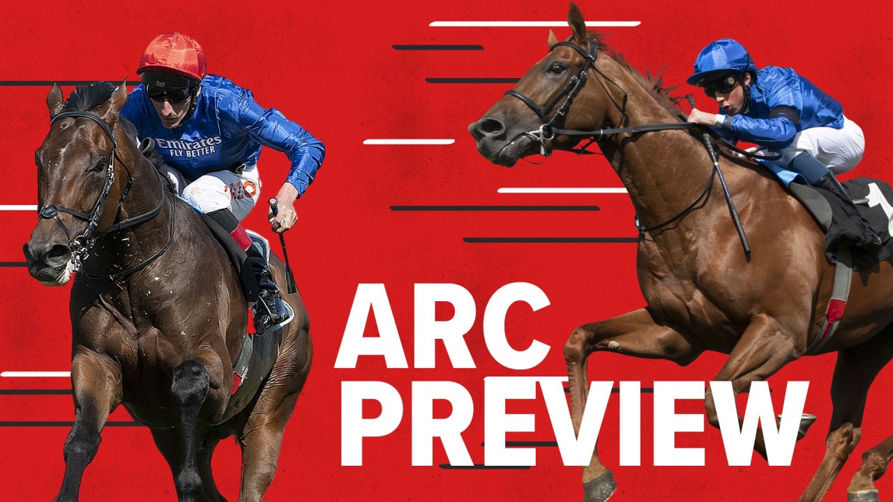 japan world cup 3 and animal internation race
