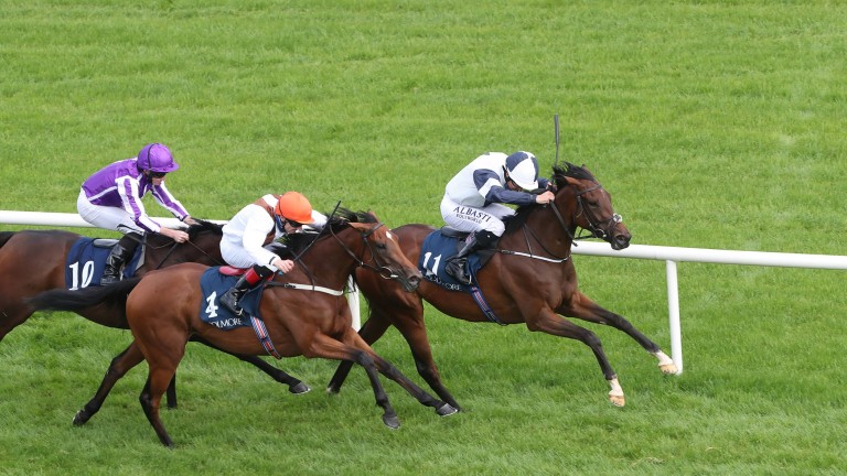 Pearls Galore (second left): Sam Hendry believes Foret second can claim a Group 1 win