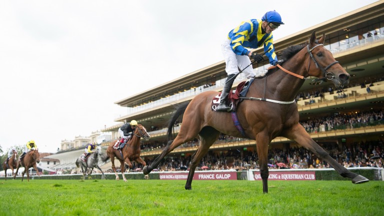 Trueshan has drifted in the Gold Cup betting with the dry forecast