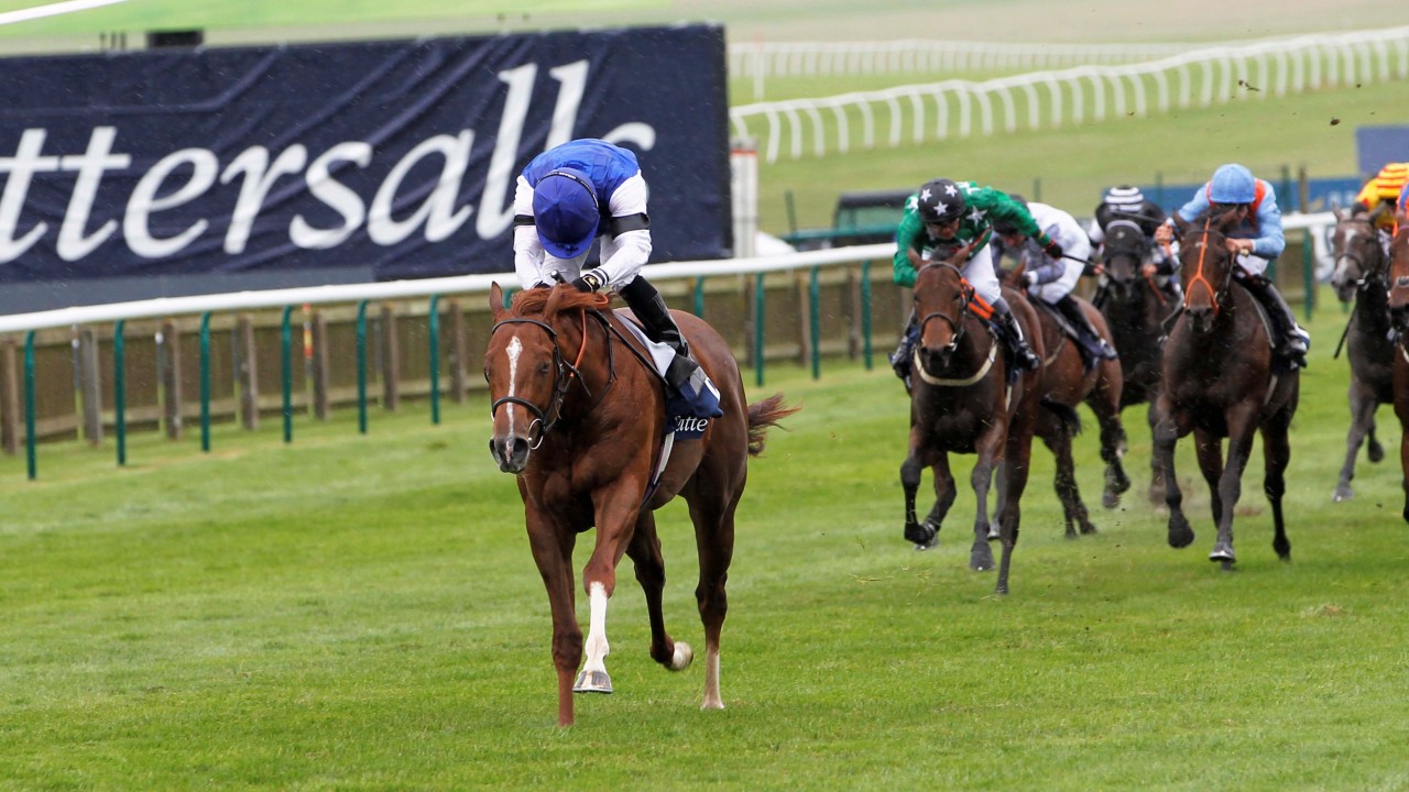 Callan Back In Business As Classy Tatsumaki Keeps Unbeaten Record In Sales Race Horse Racing News Racing Post