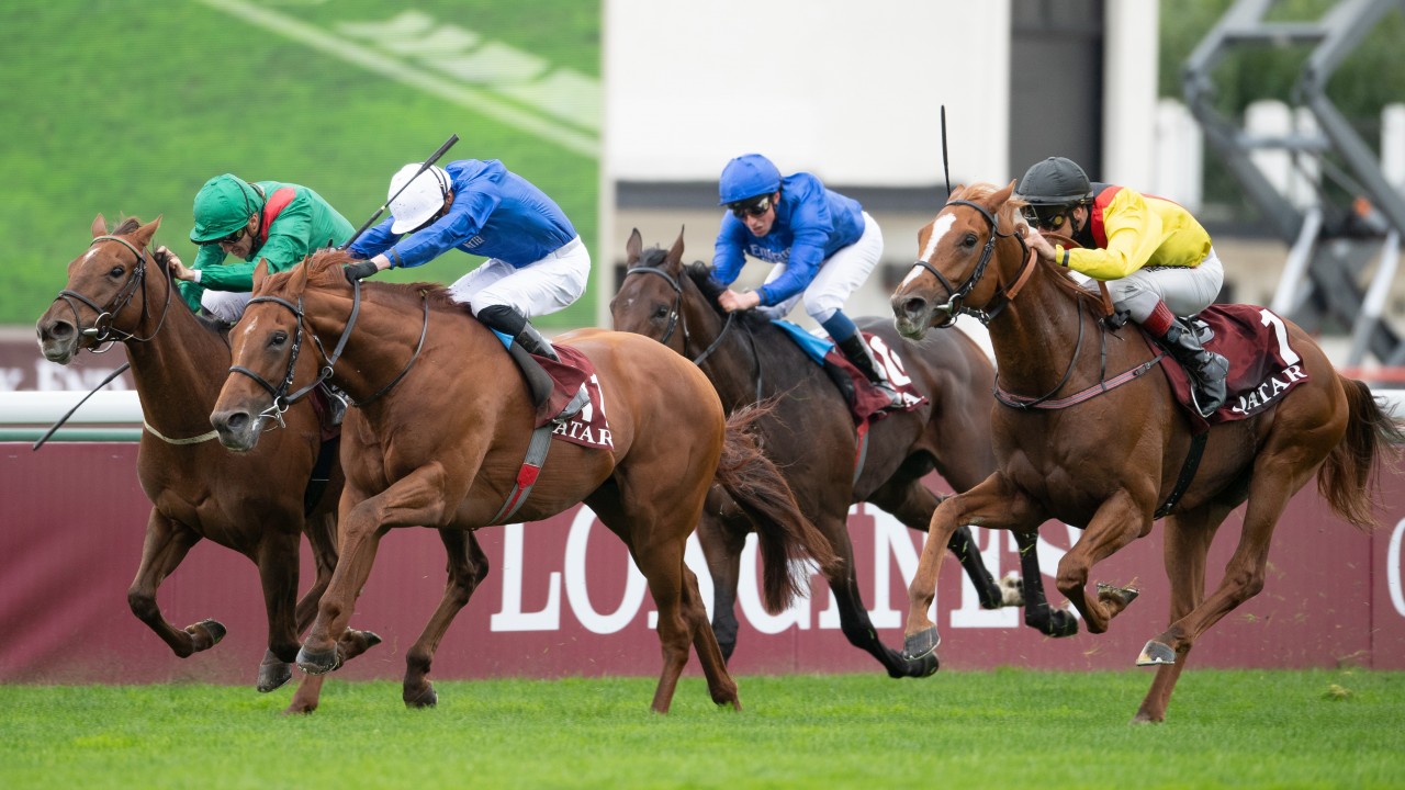Prix de larc de triomphe 2022 betting odds Prix de larc de triomphe 2022 betting odds teodosi forex market