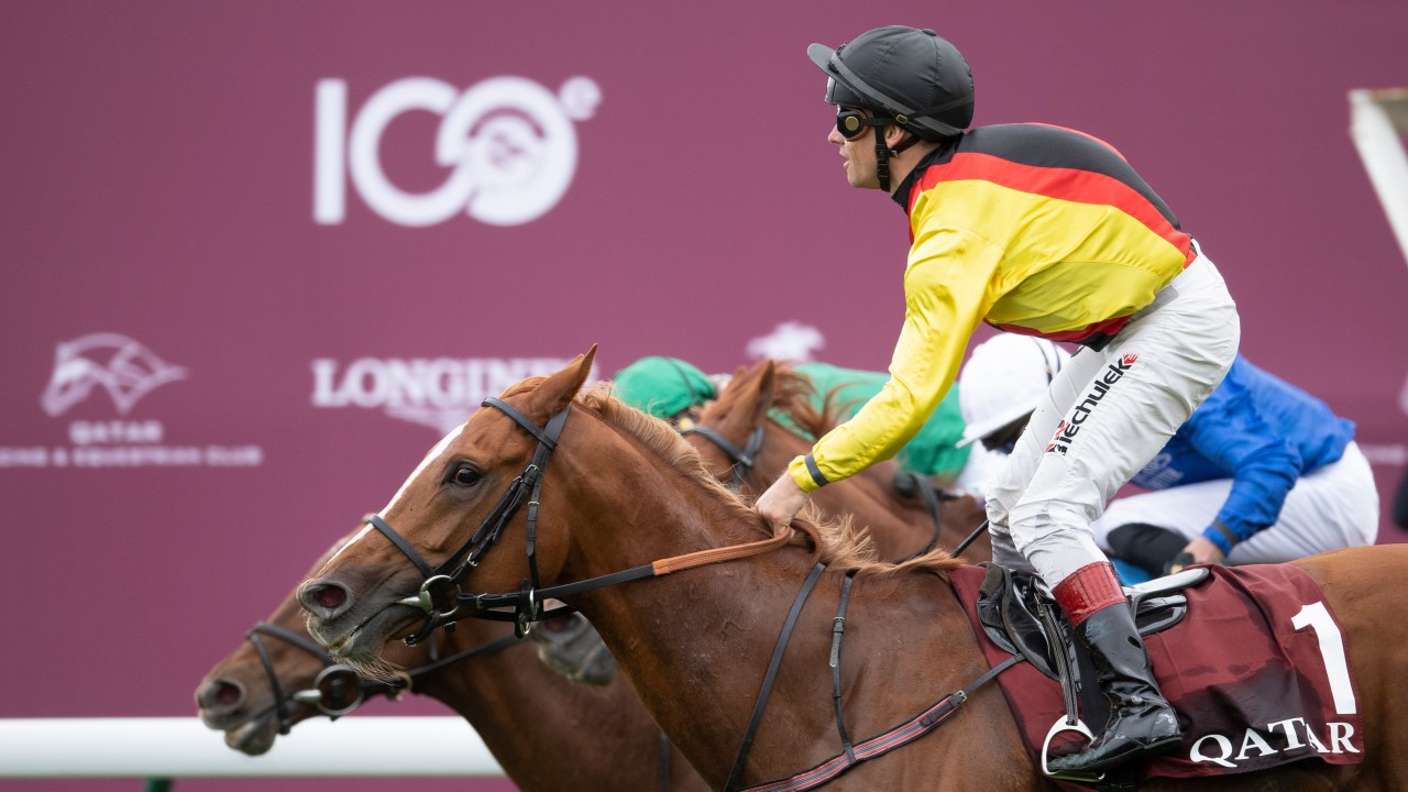 arc longchamp 2019