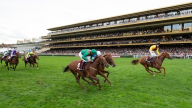 Torquator Tasso (far side) lands the Prix de l'Arc de Triomphe from Tarnawa (green silks) and enough Tote Ten To Follow points to take him to the top of the leaderboard