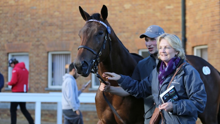Lot 277: Madeleine Lloyd Webber and the 1,200,000gns Sea The Stars colt strike a pose