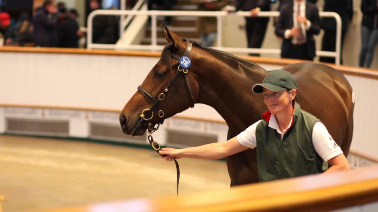 Lot 318: the Sea The Stars filly out of Time Control sells to One Agency for 680,000gns
