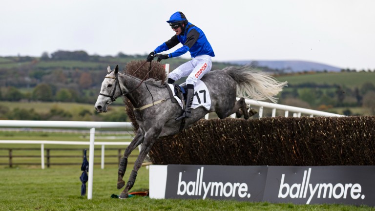 Mister Fogpatches: considered to have a 'big chance' by jockey Danny Mullins