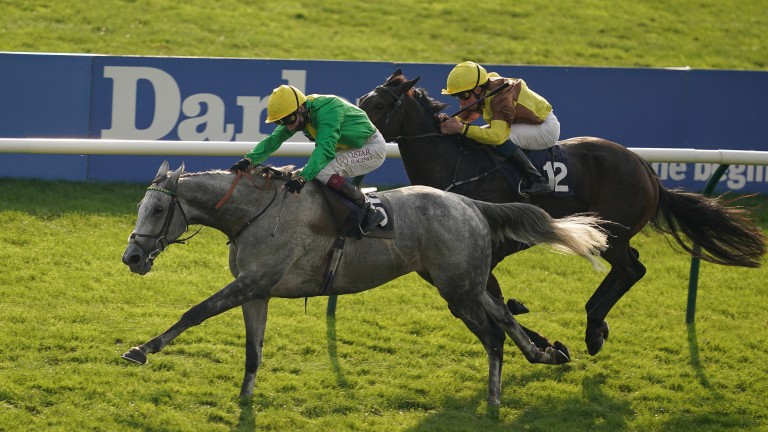 Buzz (left): got the better of Burning Victory in the Cesarewitch