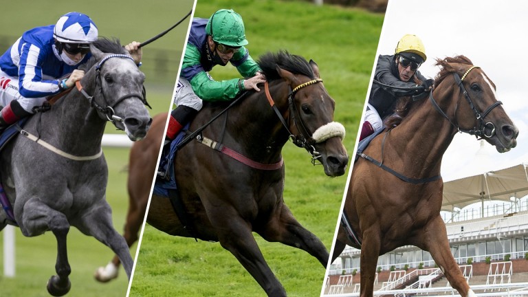 Art Power, Brunch and Stradivarius: three strong fancies on Champions Day on Saturday