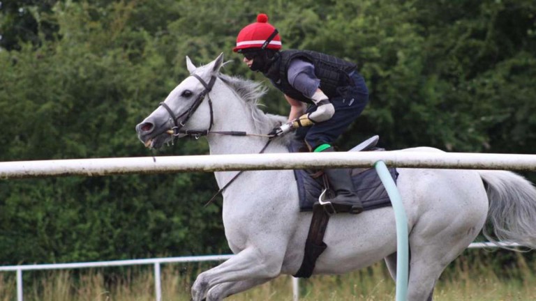 Rencontrez le cavalier solitaire qui est déterminé à le mettre en selle |  l’actualité des courses hippiques