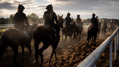 A morning at Gordon Elliottâs yard.Cullentra House Stables.Photo: Patrick McCann/Racing Post 17.10.2020