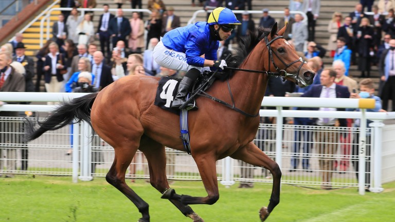 A filly from group 1 has a chance of becoming one of the first ladies of the Tattersalls |  Bloodstock news