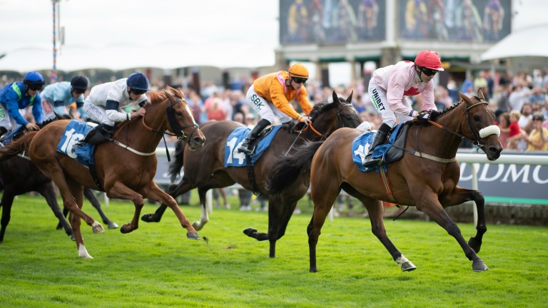 Arcadian Sunrise: seven-time winner and Royal Ascot third was put down on Thursday