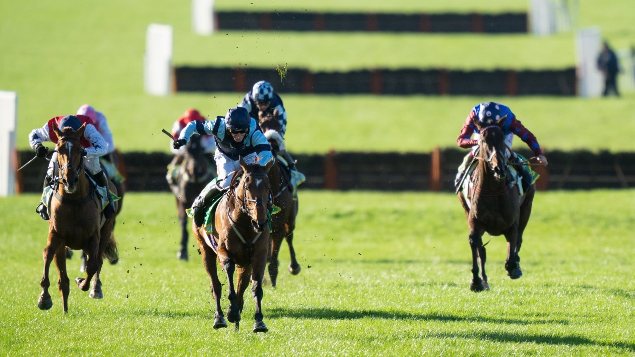 Webber Eyes Grade 1s With His Star Mare Indefatigable Horse Racing News Racing Post
