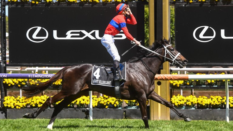 Verry Elleegant wins the Melbourne Cup for James McDonald and Chris Waller