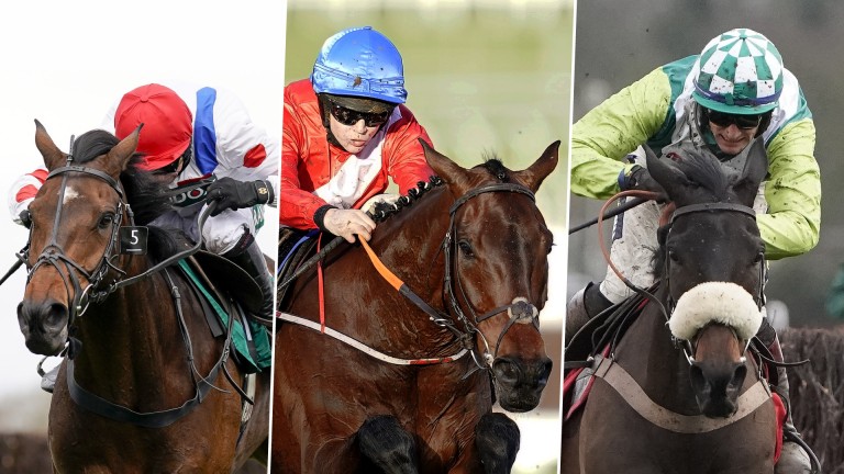 King George, Betfair Chase и другие: потенциальные бегуны и дальнобойщики |  новости скачек