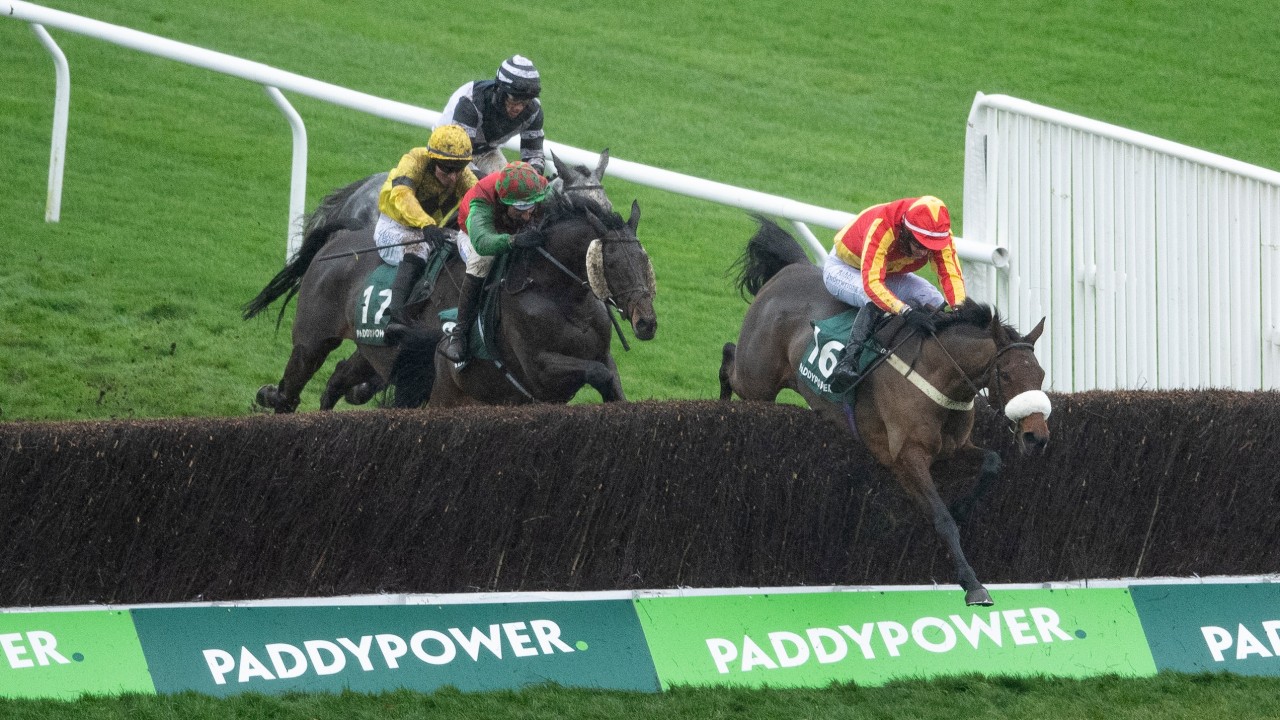 2021 Paddy Power Gold Cup At Cheltenham The Runners The Odds The Verdict Horse Racing News Racing Post