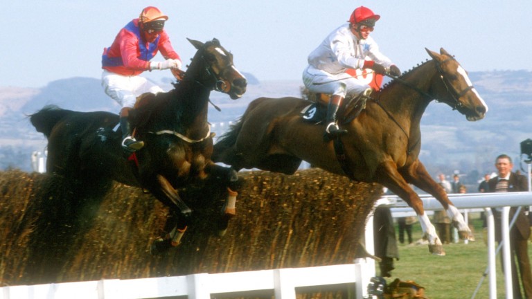 Burren Prince (izquierda) salta a la última casa trasera invertida en su camino a ganar la Carrera Arkell de 1985