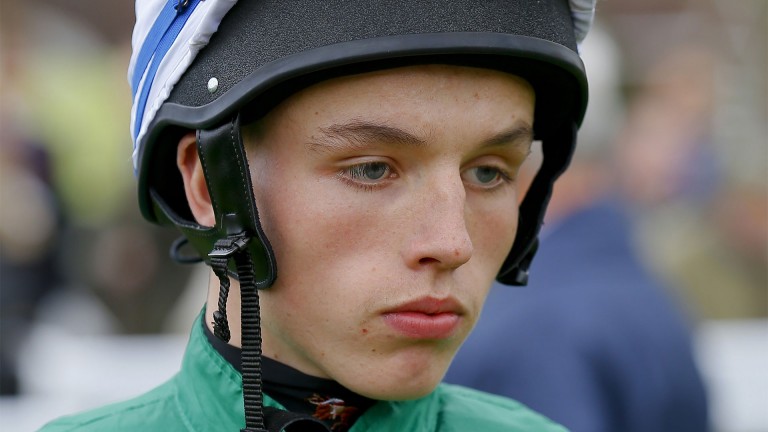 Patrick Cowley Handed 42 day Non trier Ban For Fontwell Ride Horse patrick-cowley-handed-42-day-non-trier-ban-for-fontwell-ride-horse